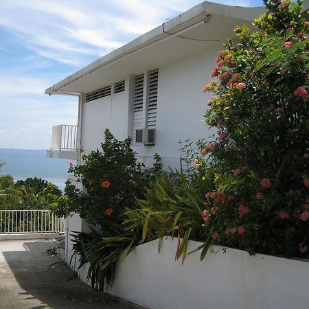 A Seascape Guest Room Fajardo Extérieur photo